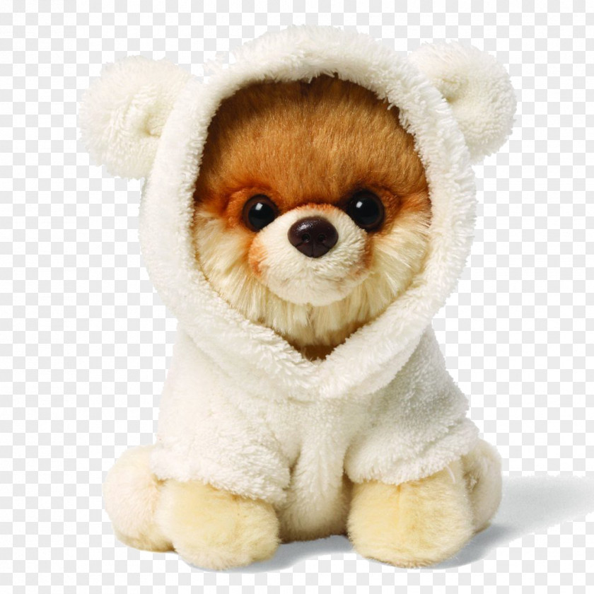 Boo Dog Clipart Pomeranian Bear Stuffed Toy Gund PNG
