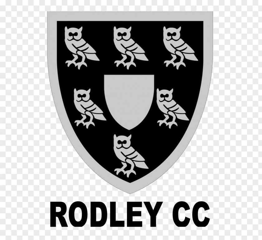 Cricket Academy Banner Rodley Club Bradford Pro Coach Pitchero PNG