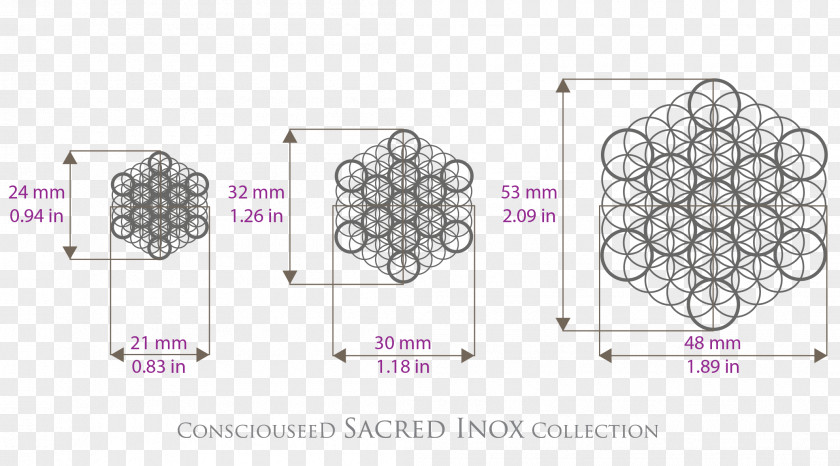 Fruits TABLE Overlapping Circles Grid Geometry Consciousness PNG