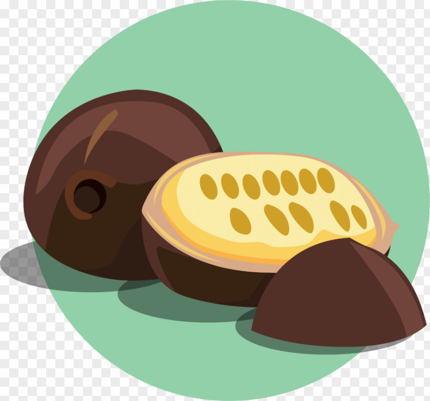 Rainy Season Accessories Fruit Food Cacao Tree Chocolate Caffeine PNG