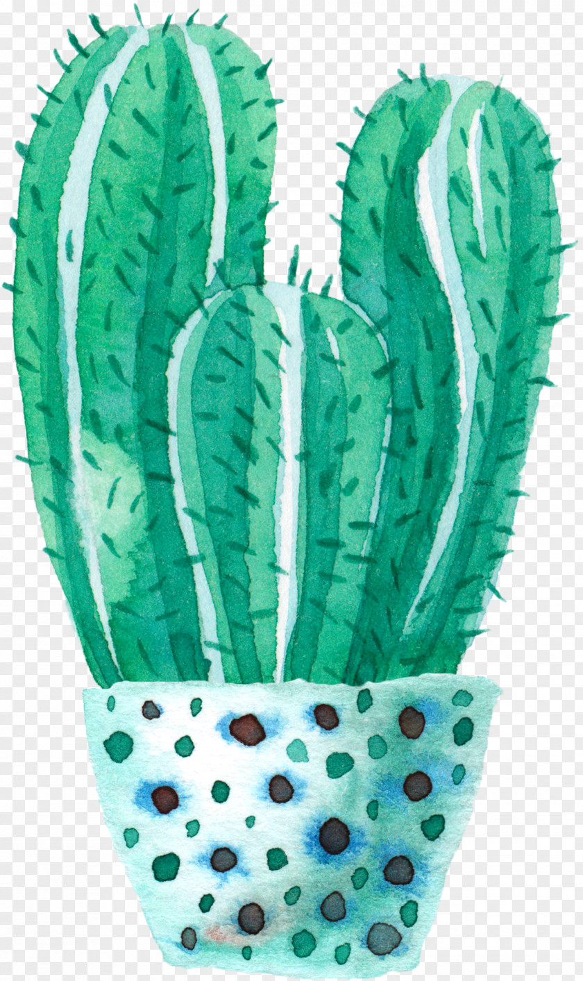 Watercolor Potted Cactus Cactaceae Painting PNG
