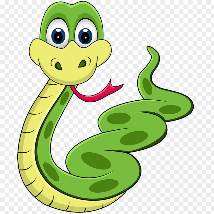Serpent Snake Python Piedmont Reptile Rescue Clip Art PNG