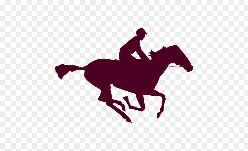 Horse A Tenth Of Second: History Equestrian Pony PNG