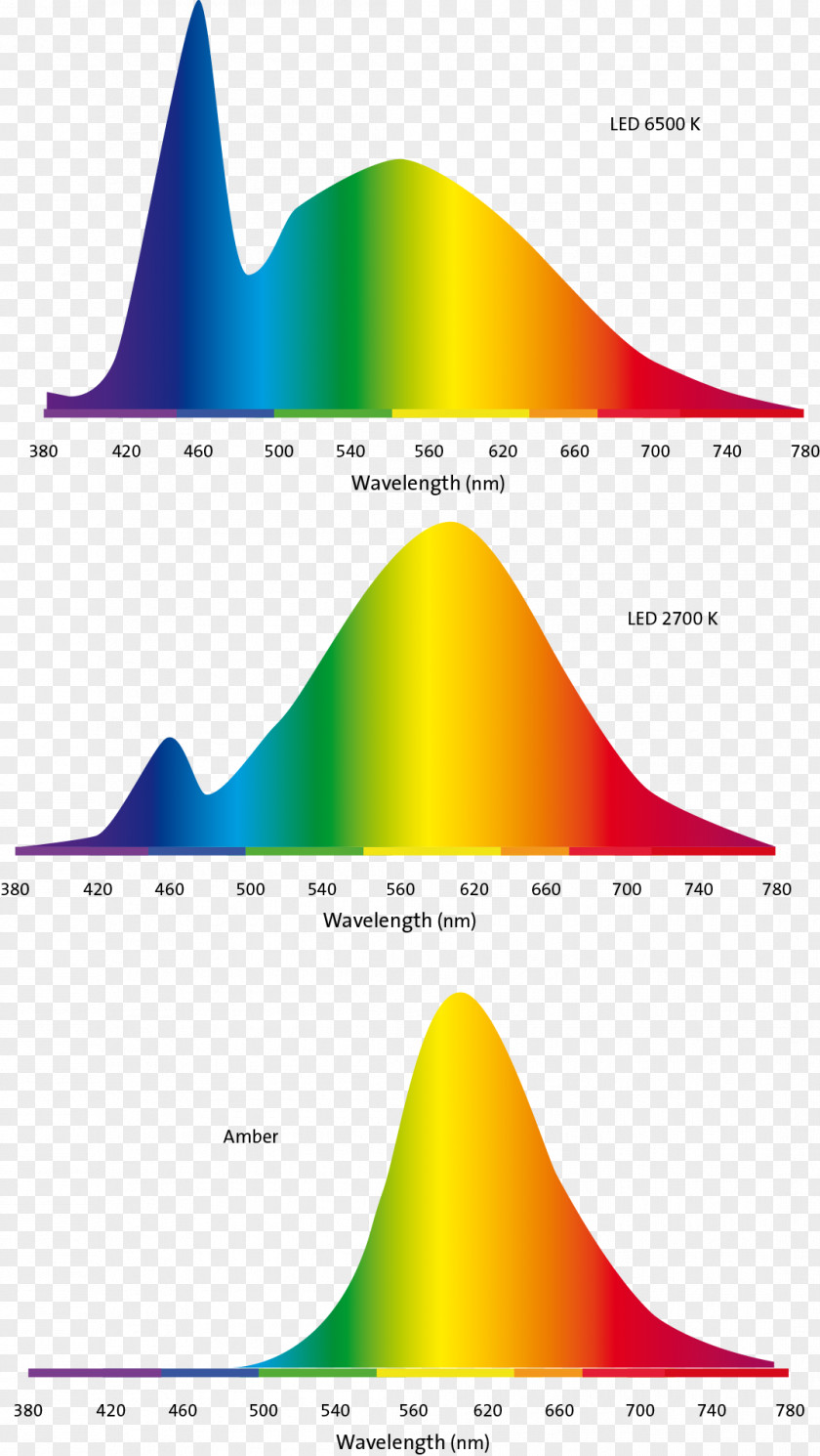 Light Electromagnetic Spectrum Wavelength Orange PNG