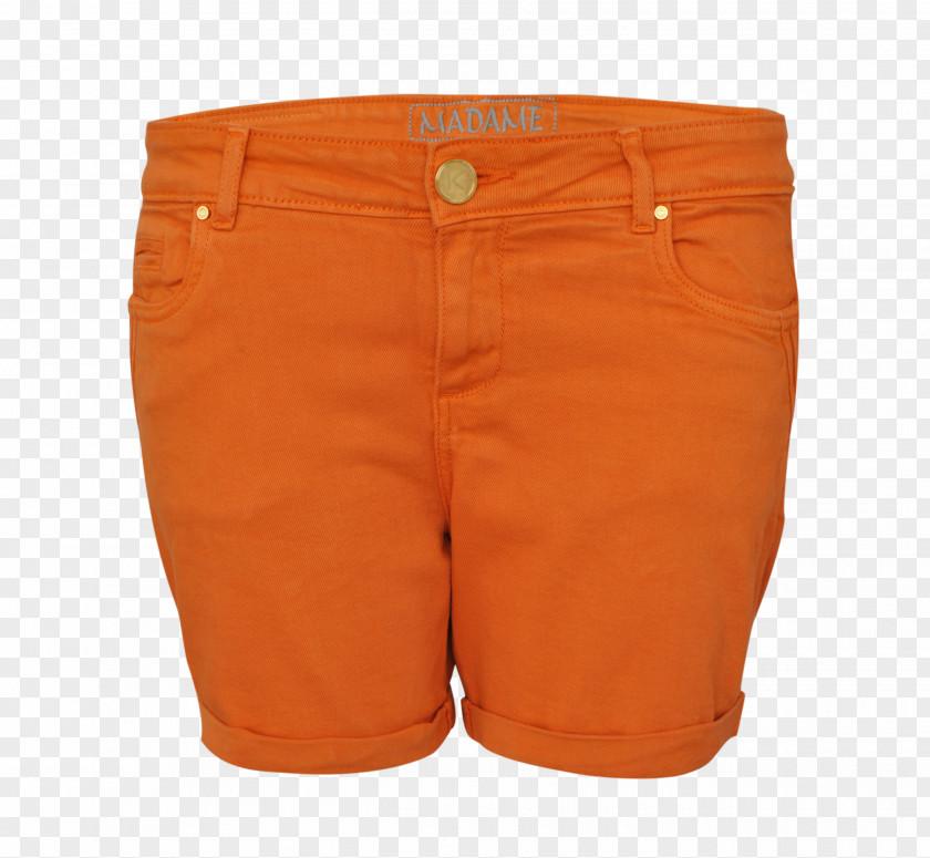 Pants Bermuda Shorts PNG
