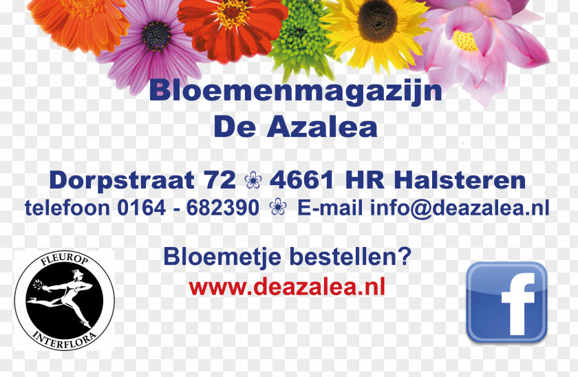 Azalea Floral Design Cut Flowers Interflora Brand PNG