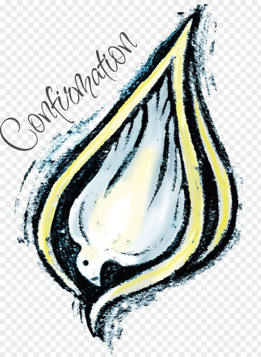 Baptism Lutheranism Confirmation Sacraments Of The Catholic Church PNG