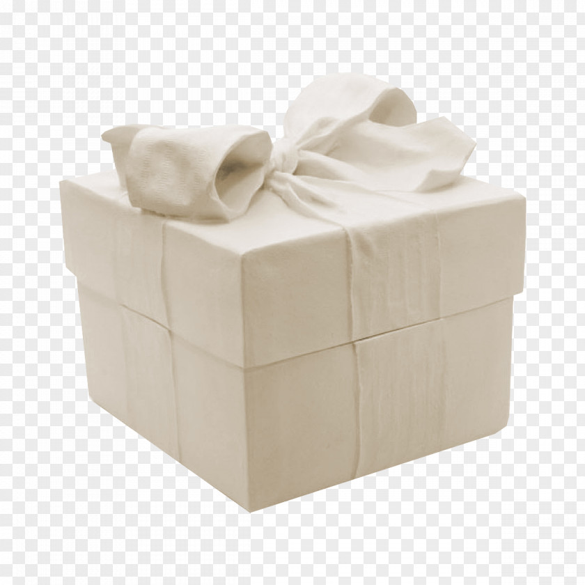 Box Gift Ribbon White Shoelace Knot PNG