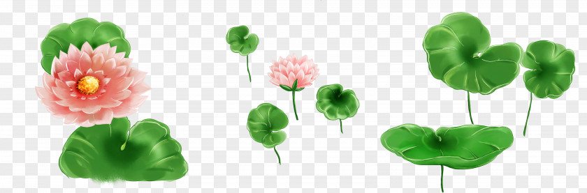 Cartoon Great Fresh Lotus Nelumbo Nucifera Petal Leaf Effect PNG