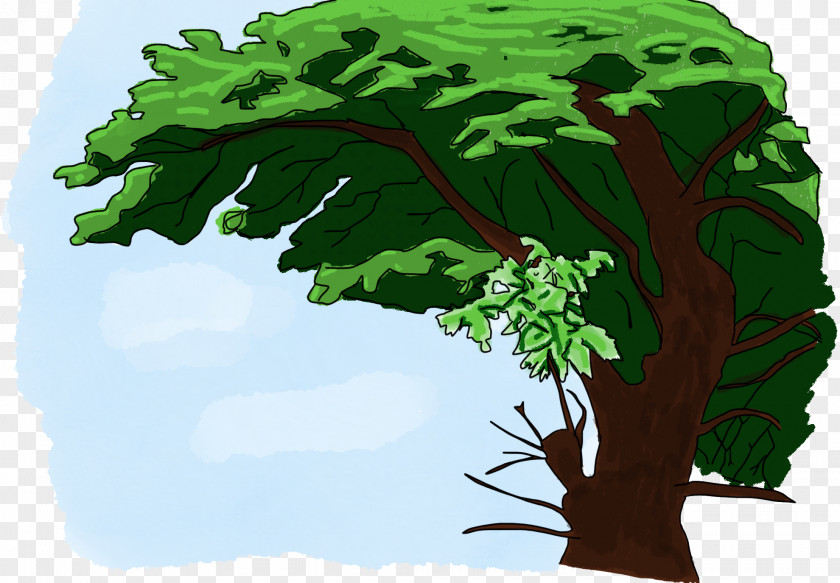 Dont Cut Trees Tree Show, Don't Tell Leaf Vegetable PNG