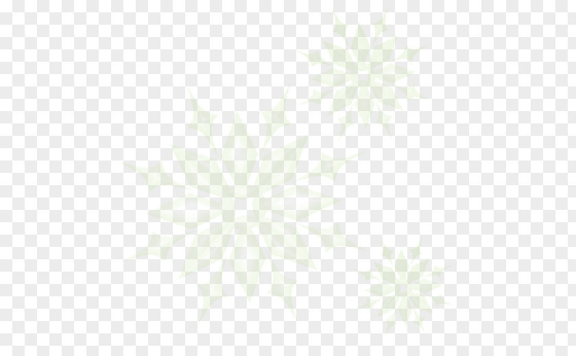 Fraser Fir Anna Desktop Wallpaper White Pattern PNG