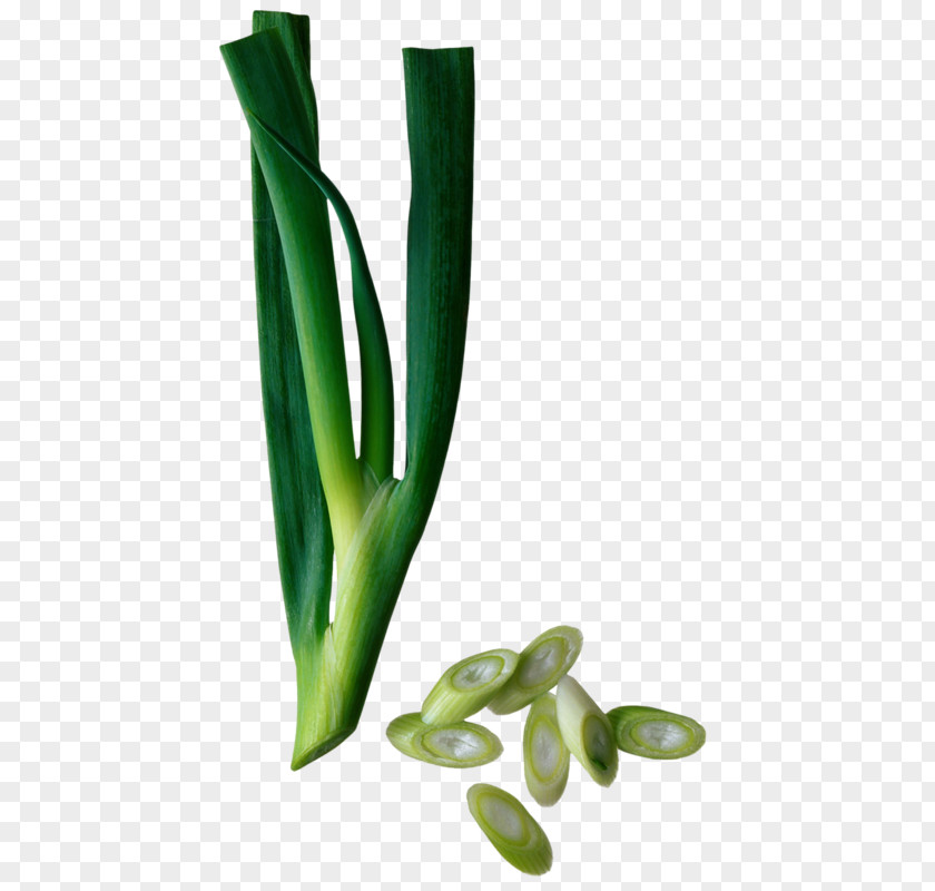 Green Onions Chinese Cuisine Asian Chives Onion Scallion PNG