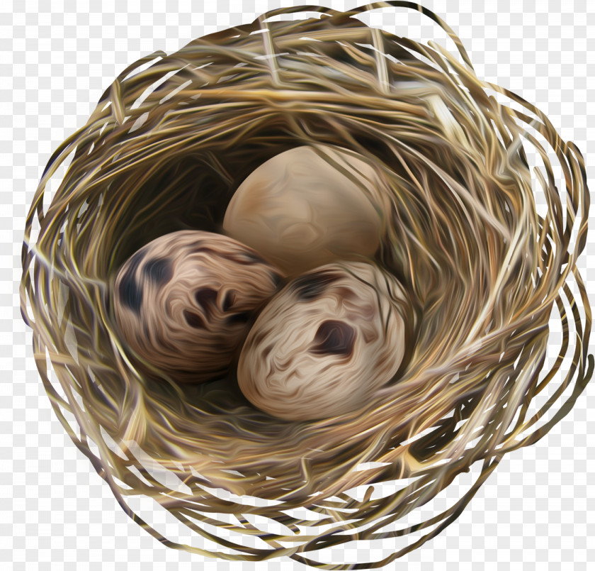 Nest Egg Easter PNG