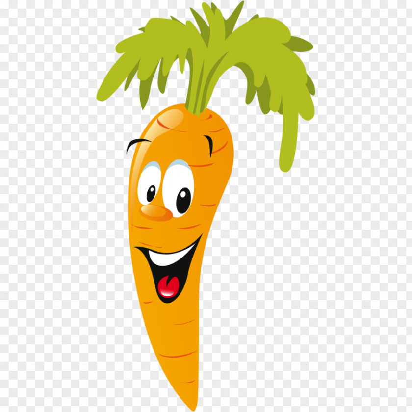 Carrot Clip Art Vector Graphics Cartoon PNG