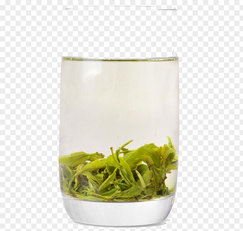 Cup Of Green Tea Longjing Lapsang Souchong Ginger PNG