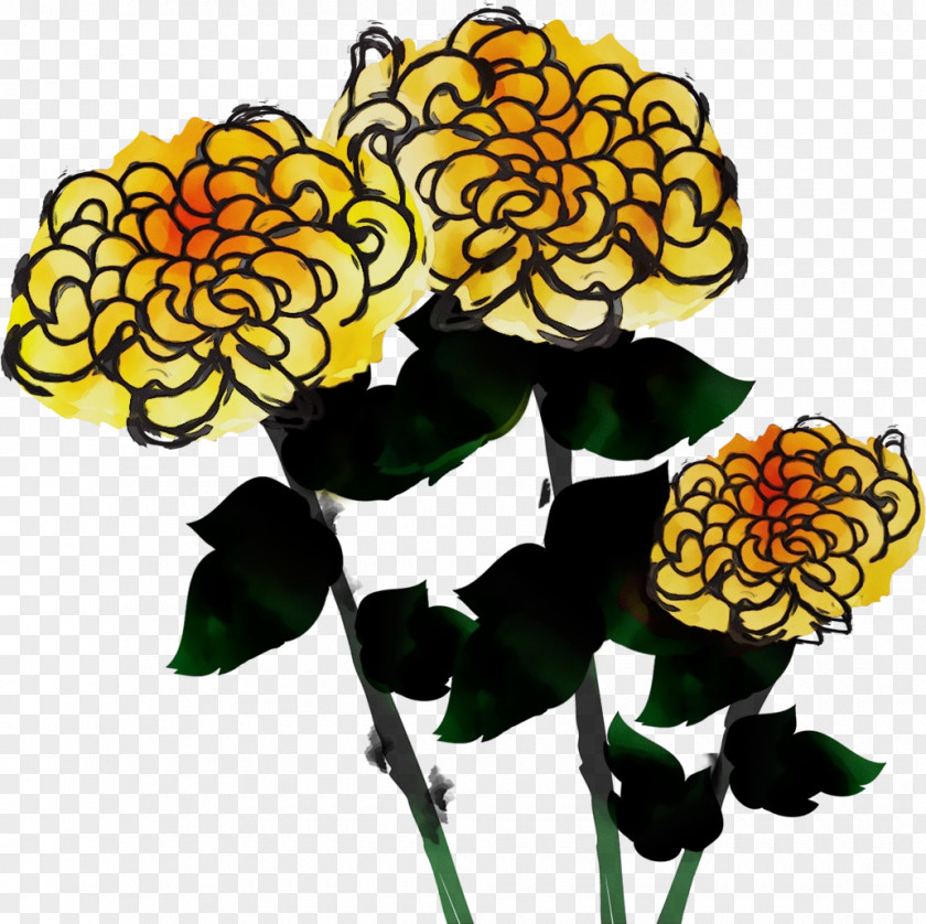 Floral Design PNG