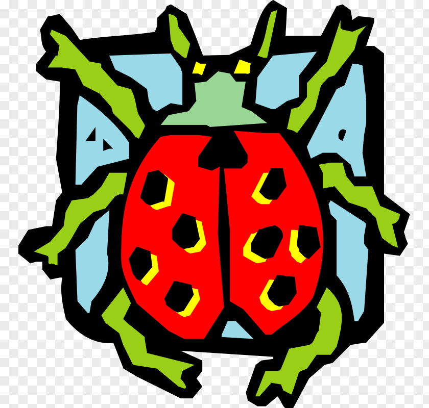 Free Insect Photos Beetle Ladybird Drawing Clip Art PNG