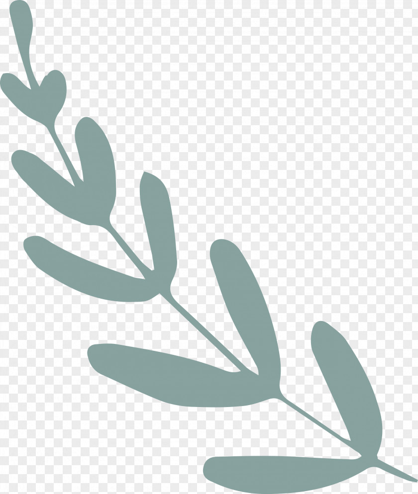 Leaf Branch PNG