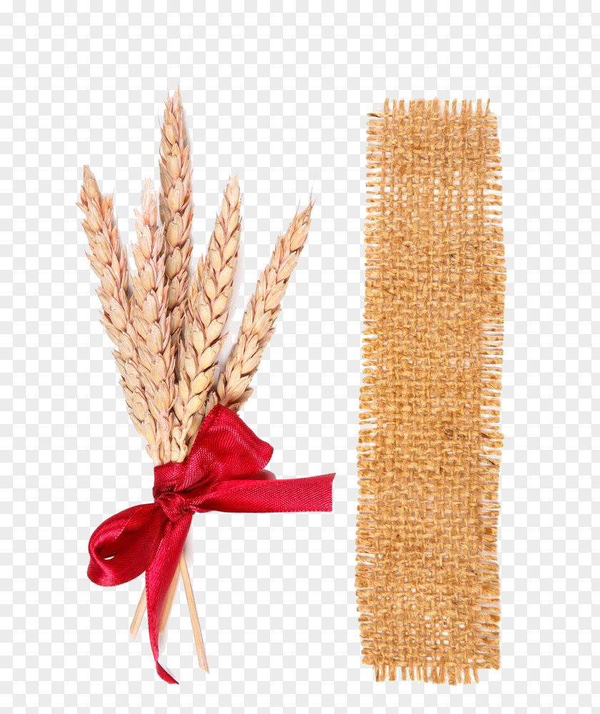 Sacks, Cloth And Wheat Photography Ear PNG