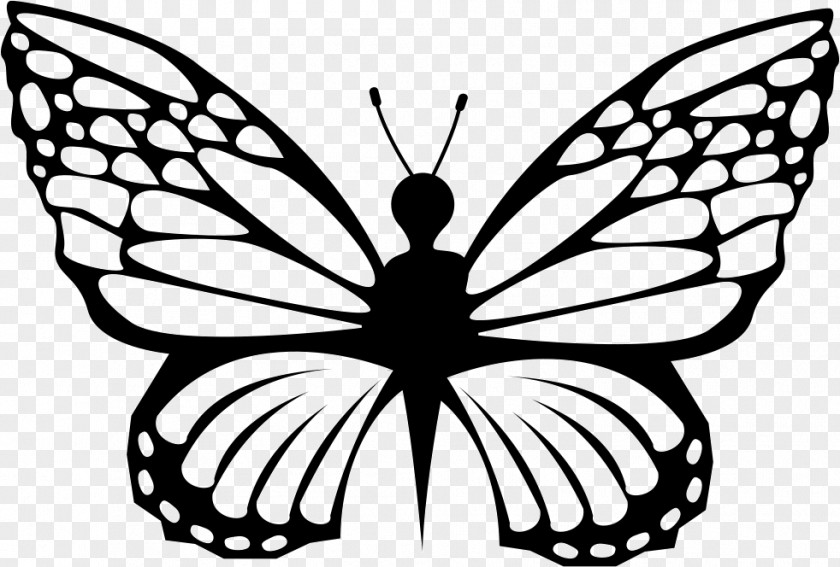 The Delicacy Butterfly Shape PNG