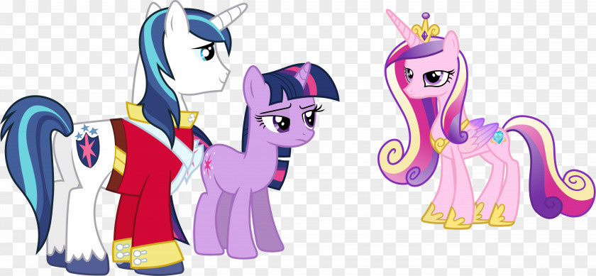 Youtube Pony Princess Cadance Twilight Sparkle YouTube The Saga PNG