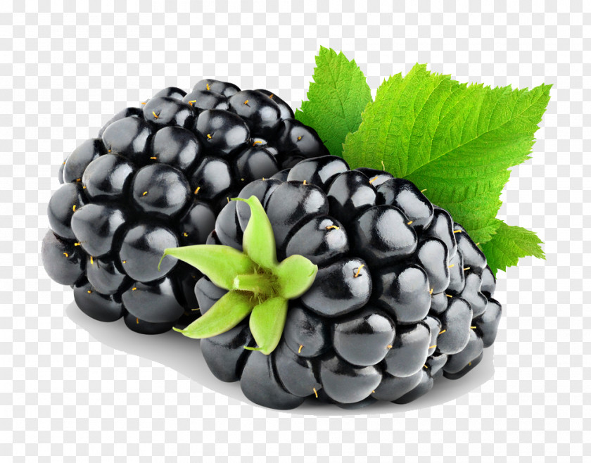 Blackberry Fruit Hd Pie PNG