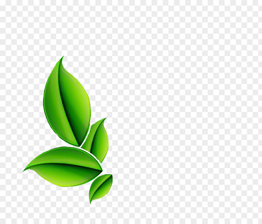 Design Logo Herb Product Sadaqat Dawakhana PNG