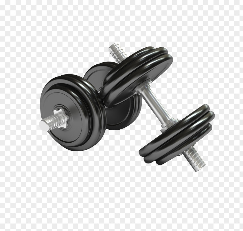 Dumbbell Equipment Exercise Physical Olympic Weightlifting Barbell PNG