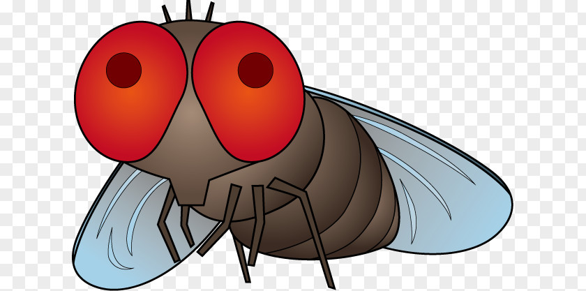 Keep Dreaming Fly Insect Mosquito Illustration Pest Control PNG