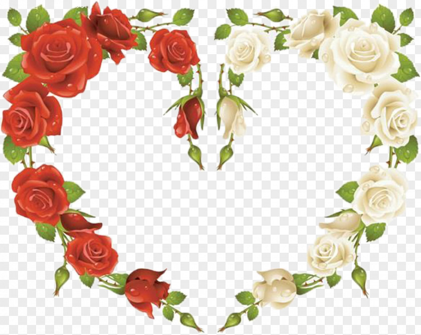 Rose Picture Frame Red Clip Art PNG