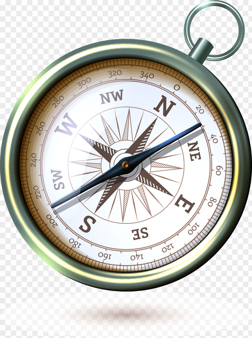 Compass Infographic PNG