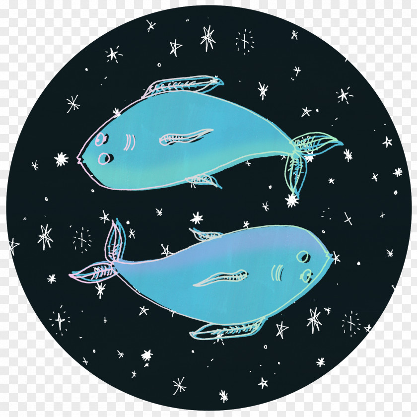 Dolphin Marine Biology Turquoise Space PNG