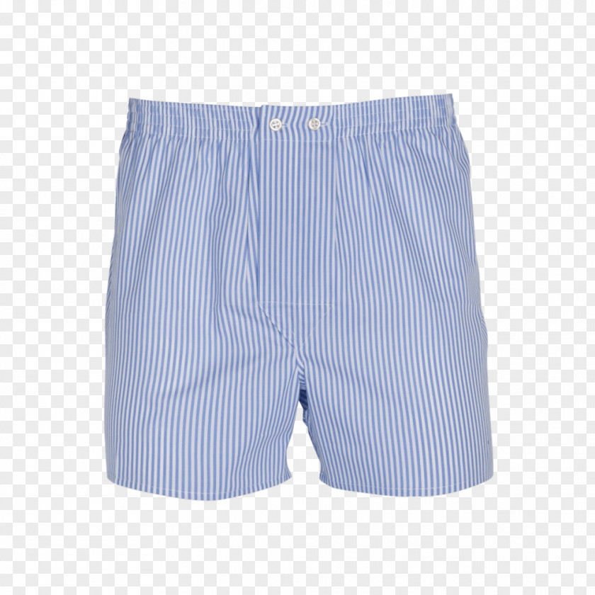 Jame Trunks Swim Briefs Underpants Bermuda Shorts PNG