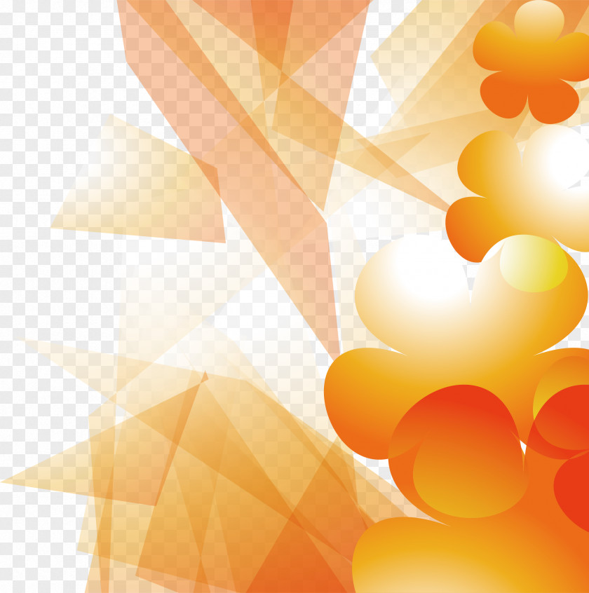 Orange Flower Art Poster Color PNG