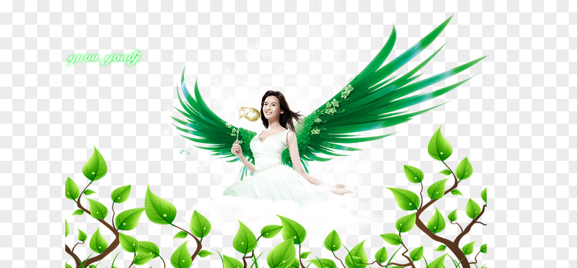 Angel Beauty Vine Plant Green PNG