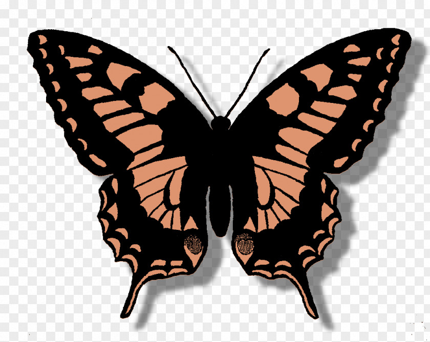 Butterfly Monarch Swallowtail Clip Art PNG
