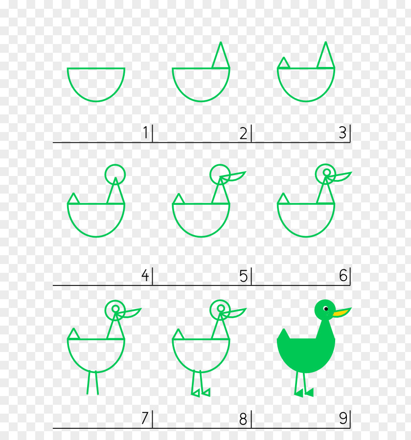 Duckling Photograph Drawing Duck Clip Art PNG