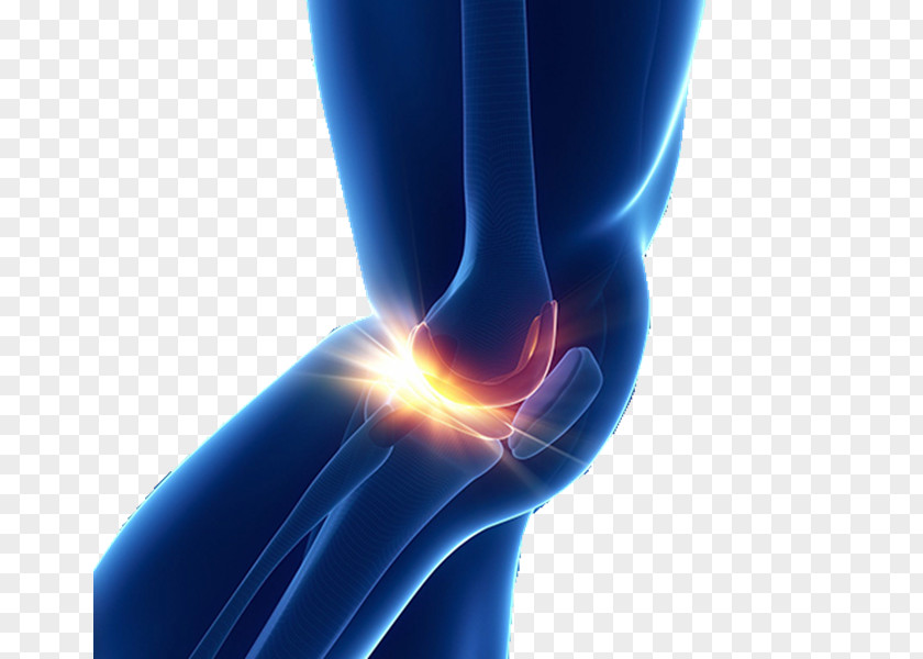 Dynamic Physiotherapy Knee Replacement Medicine Joint Therapy PNG