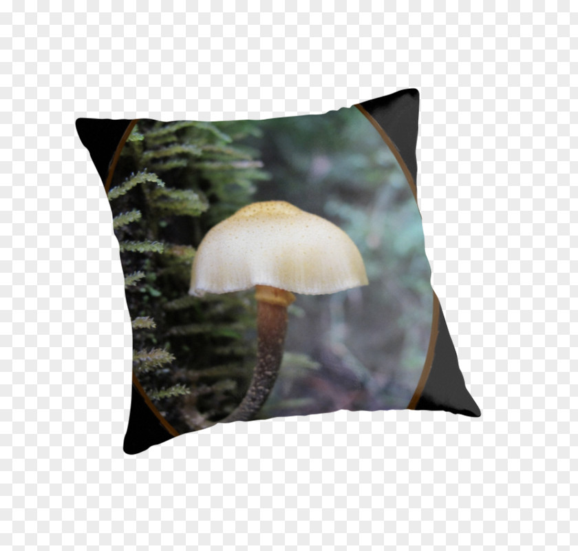 Fungi Throw Pillows Cushion Pepe The Frog Couch PNG
