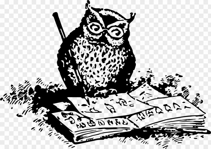 Owls Owl Drawing Clip Art PNG