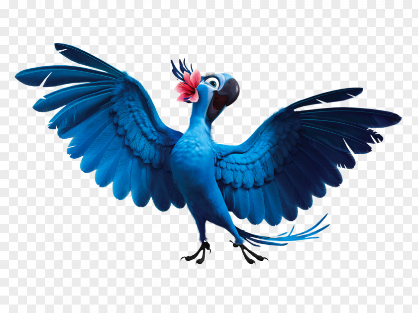 Parrot Jewel Blu Linda Rio Clip Art PNG