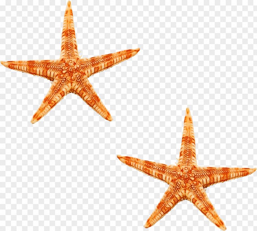 Star Orange Background PNG