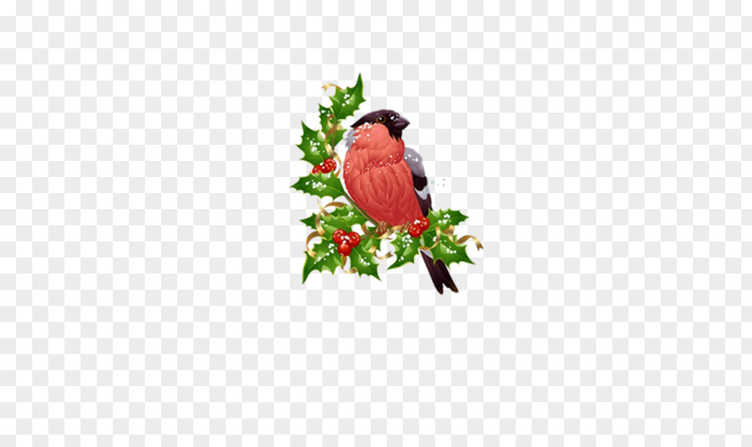 Bird Technology Cygnini Eurasian Bullfinch PNG