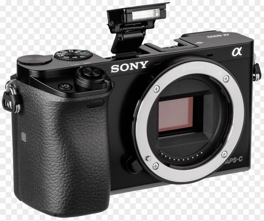 Camera Lens Digital SLR Mirrorless Interchangeable-lens 索尼 PNG