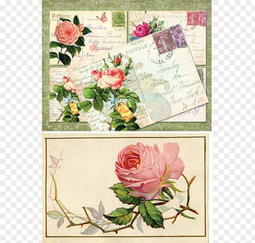 Decoupage Vintage Floral Design Garden Roses Cut Flowers Greeting & Note Cards PNG