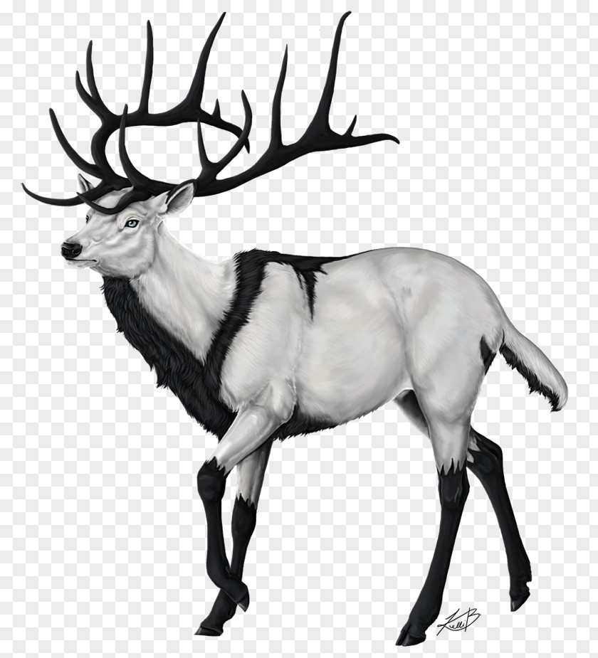 Deer Run Graphics The Endless Forest Reindeer Drawing Clip Art PNG