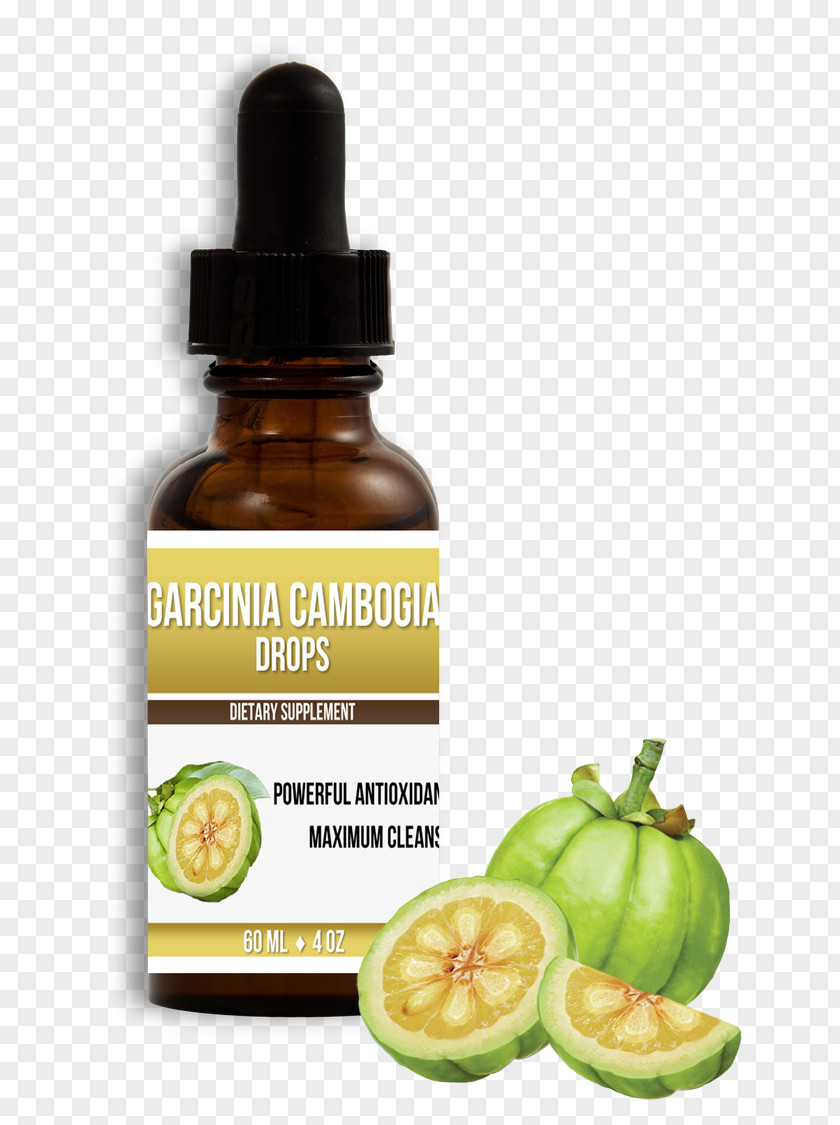Garcinia Cambogia Dietary Supplement Gummi-gutta Hydroxycitric Acid Health Weight Loss PNG