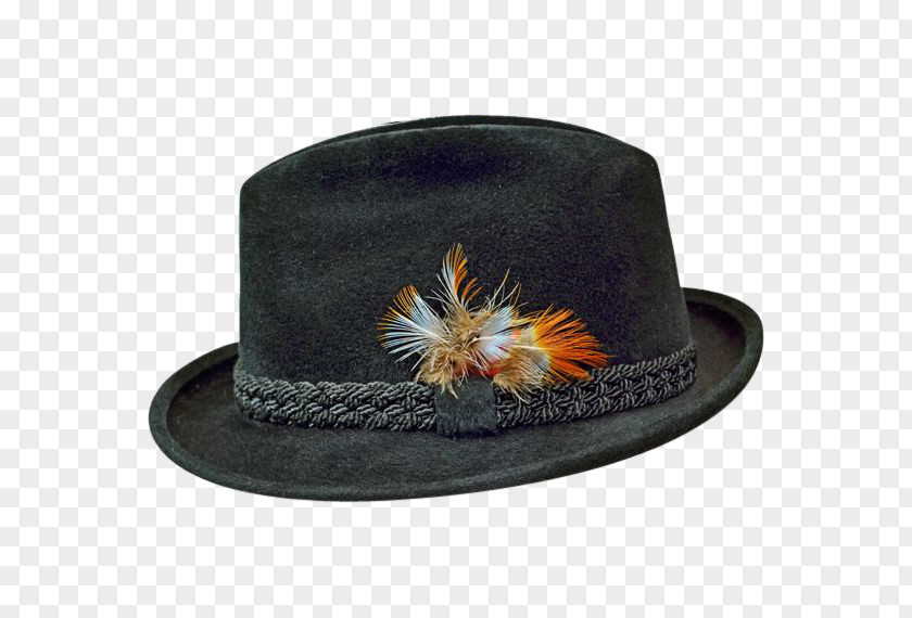 Hat Fedora Stetson PNG