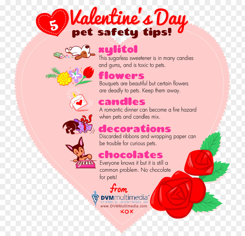 Valentines Day Valentine's Pet Dog Love Safety PNG