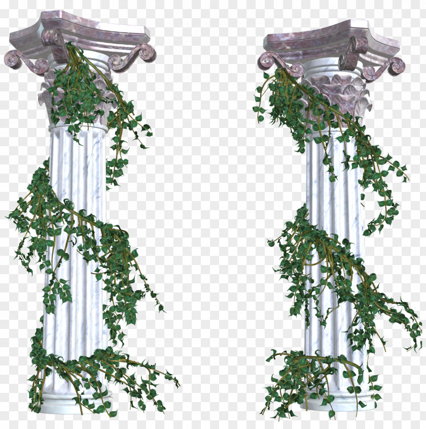 Vines Vine Column Clip Art PNG